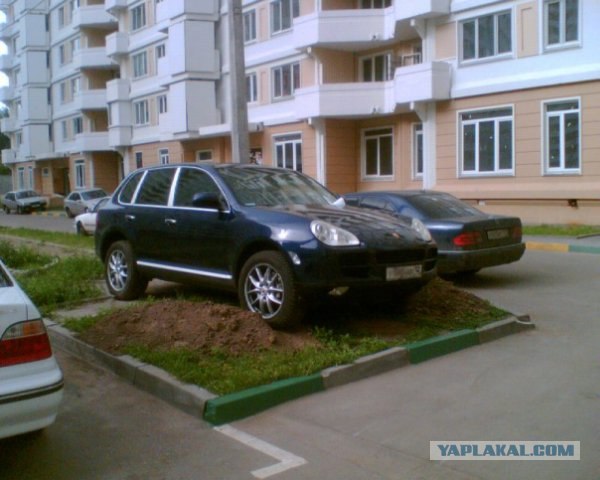 Зеленоградский хулиган