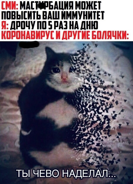 Весёлый полтишок 08.12