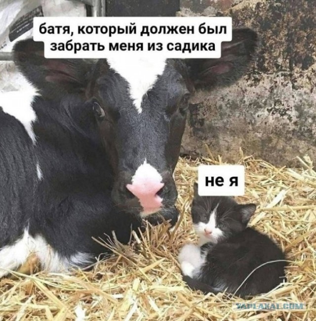 Картинки 12.02.22