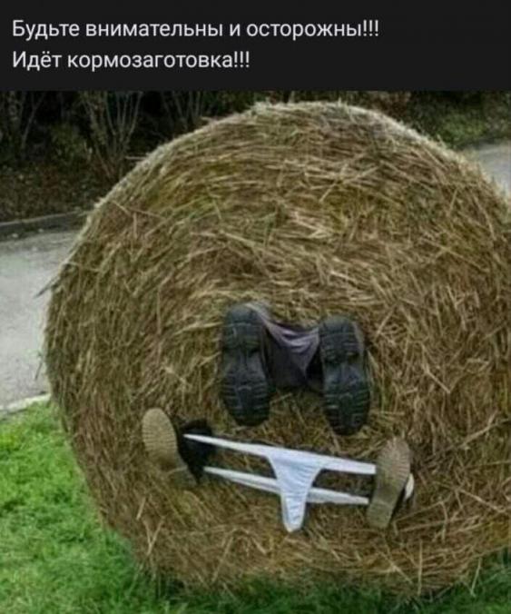 Так себе картинки 23.04.22