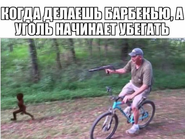 Купили питомца на Авито