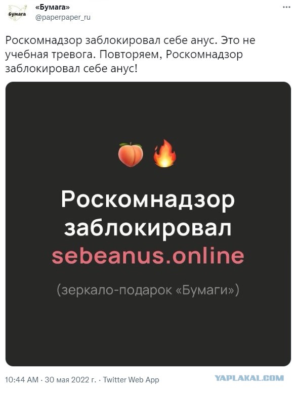 Роскомнадзор потребовал удалить из Google Play приложение Tor Browser