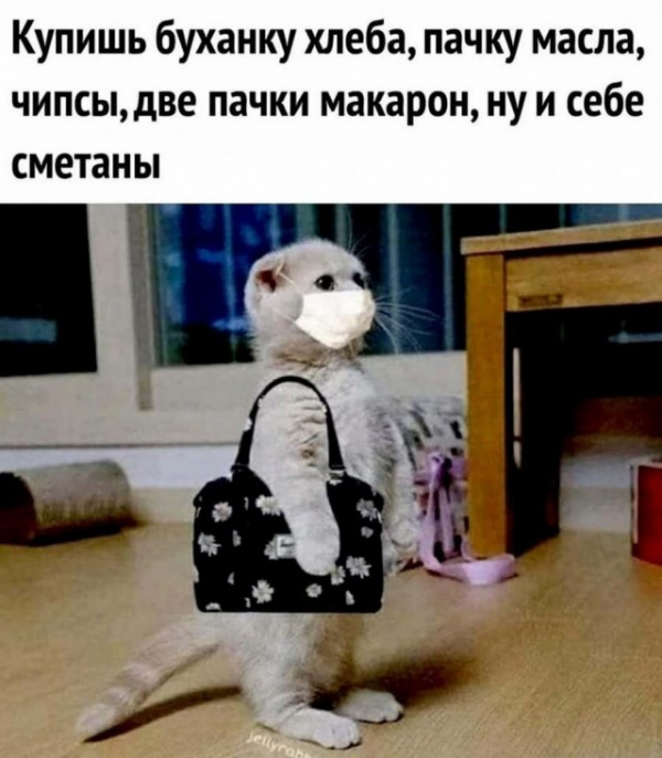 Картинки и мемы для настроения - 29