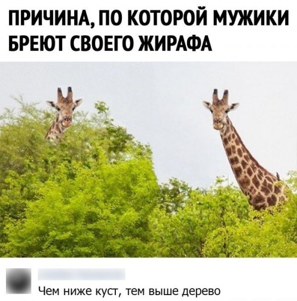Картинки и мемы для настроения - 03
