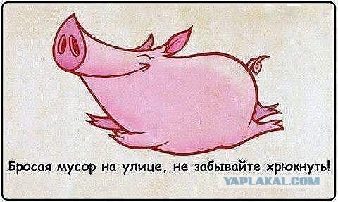 Мусор в культурной столице!