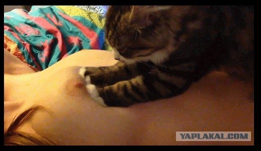 Какой массаж выберешь ты?