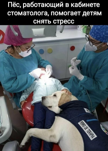 Так себе картинки 03.11.22