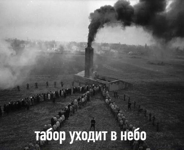 Народная меДИЧина 6008