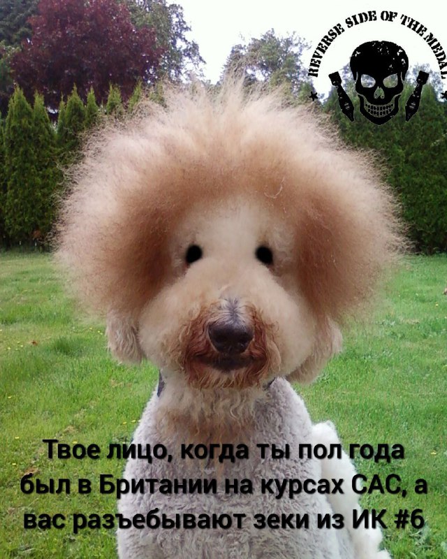 Всего понемногу