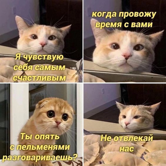 Всего понемногу 24.05