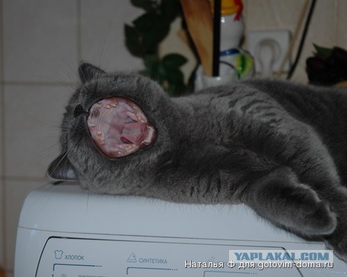Ну блин, и так сёдня весь сонный хожу..