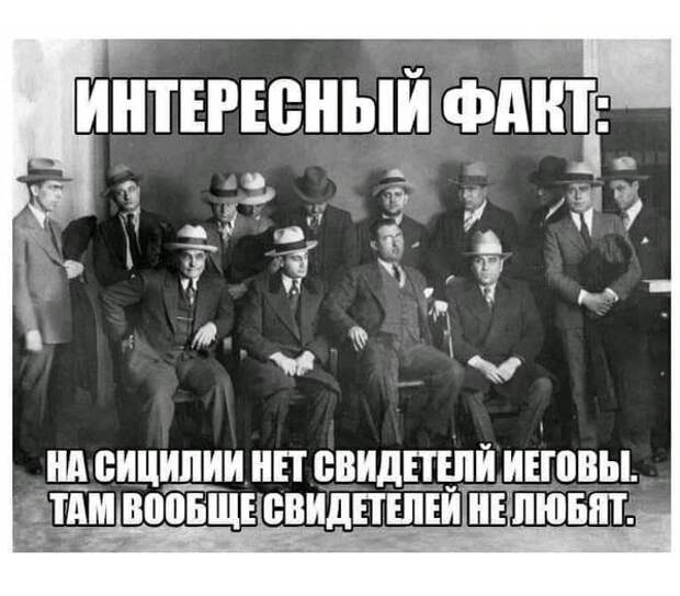 Удивлению нет предела или тип семьи, который входит в моду