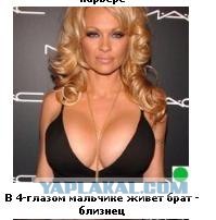 Автодемотиватор на ЯПе