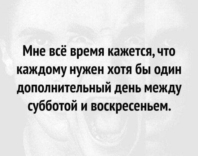Весёлый полтишок 29.01.24