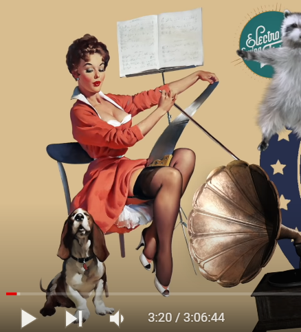 Pin Up и модели