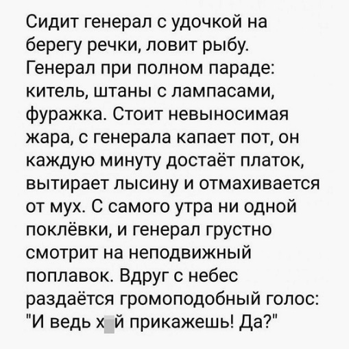 Показывайте кота!