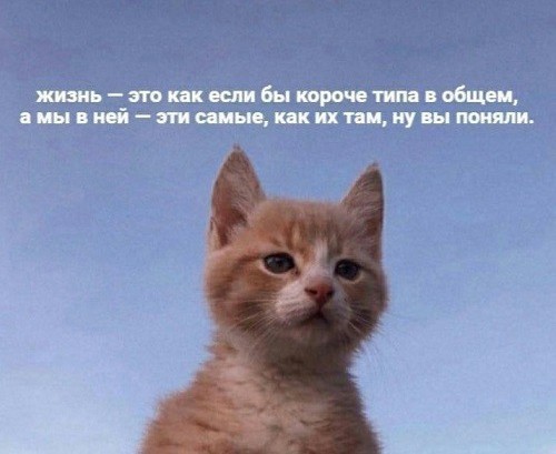 Василий Ливанов ответил правнучке Чкалова на призывы к ударам по Москве