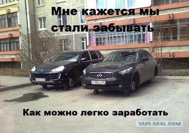 Однажды на лесной поляне...