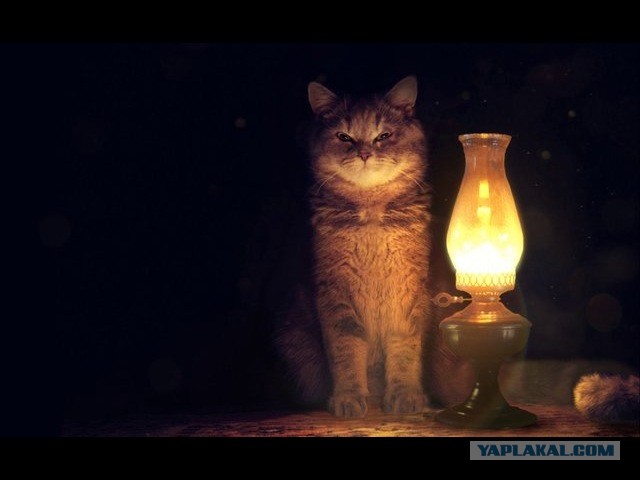 Слонотяп-2. Читайте, голосуйте