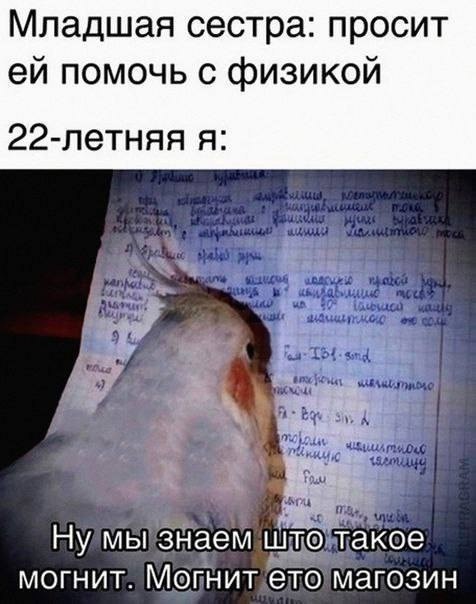 Немного забавных картинок от 01.12.2024
