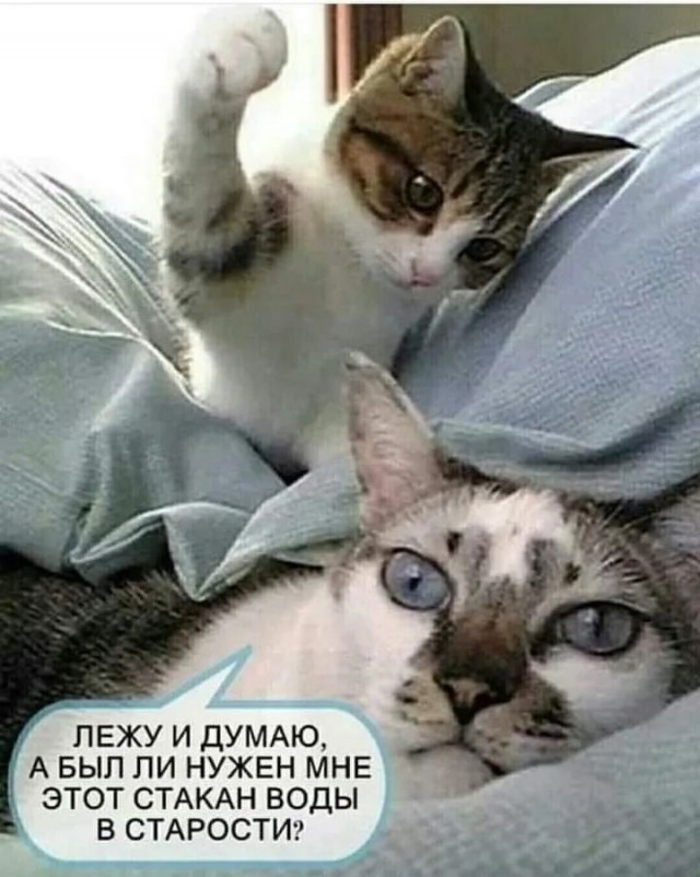 Экзистенциональный парадокс