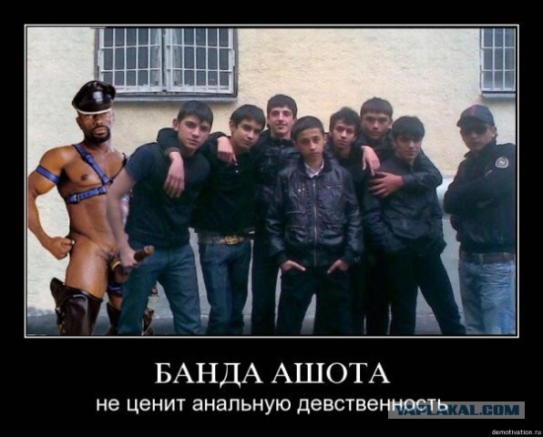 Кавказцы - геи