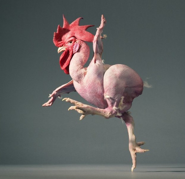 Она подала на алименты, а я подал на ДНК-тест. Она отменила иск