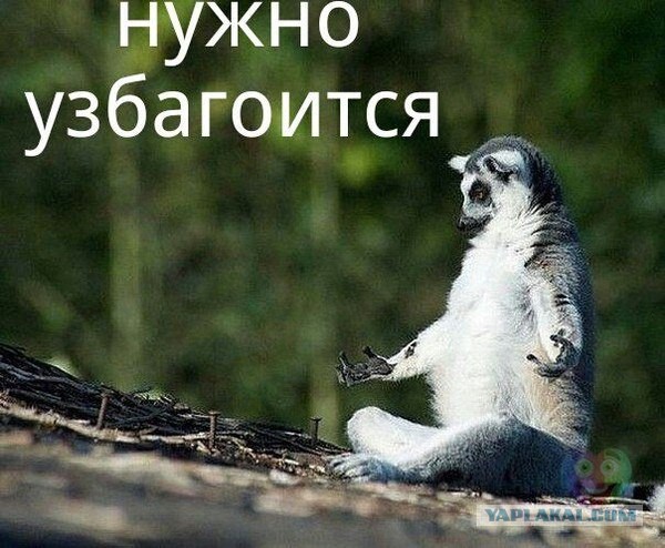 Развод с женой ч.2