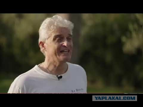 Самокаты отключают мозг?