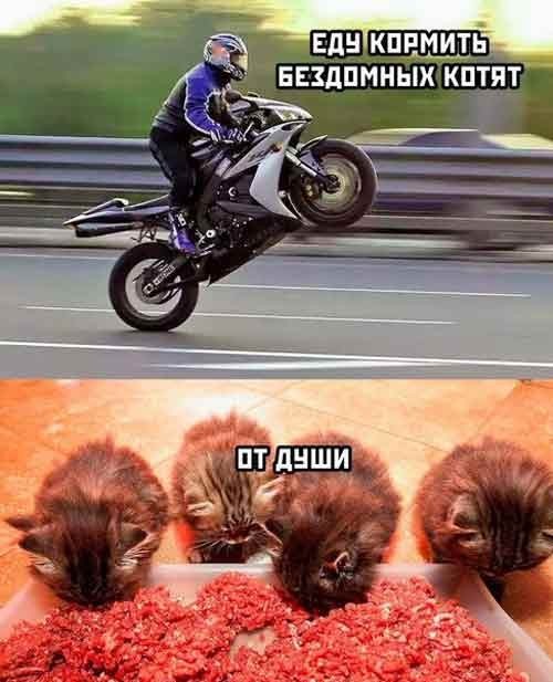 Завалялось тут случайно немного забавных картинок