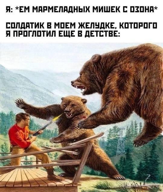 Юмор для тех, кто уже повзрослел и понял, что «личная жизнь» — это кот и плед