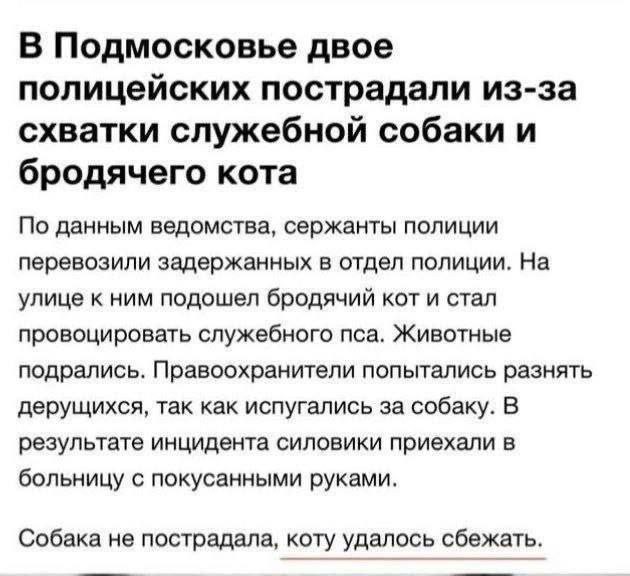 А где Цой?