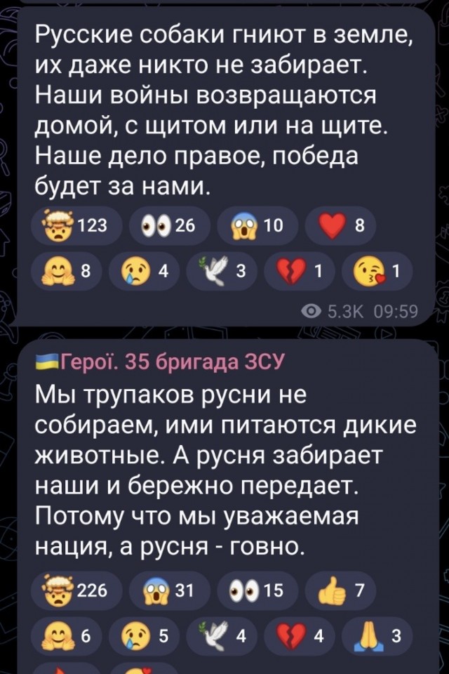 Россия и Украина обменялись телами погибших