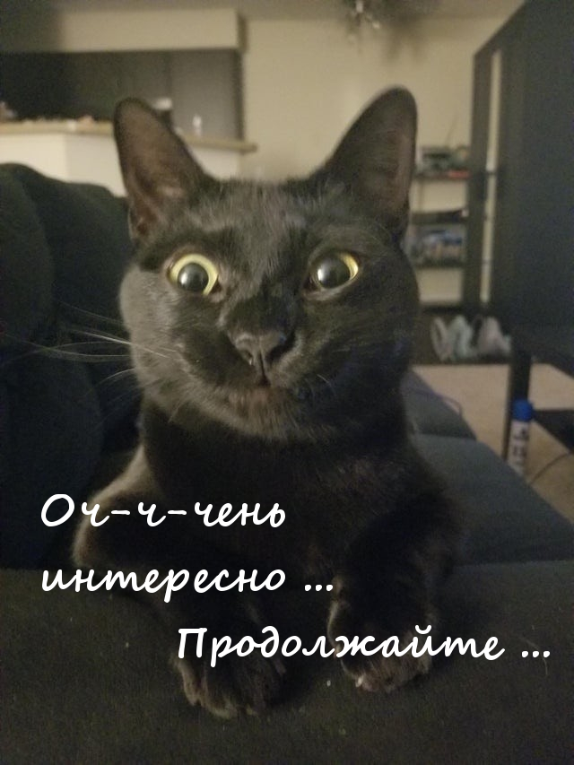 Девчата для тонуса - 108