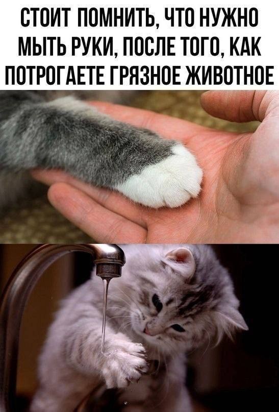 Вторника картинки