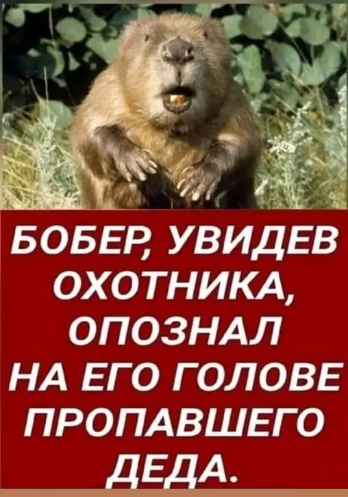 Прикольные и просто красивые картинки 13.03.2026