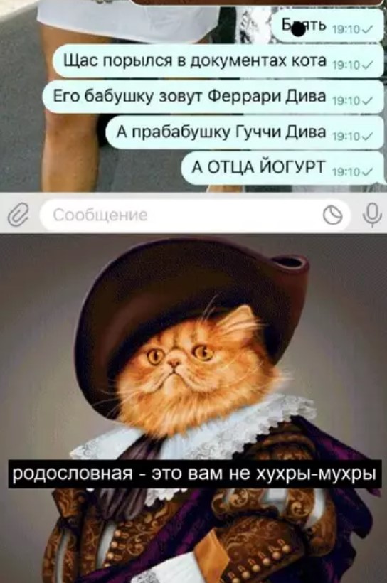 Котямбосы