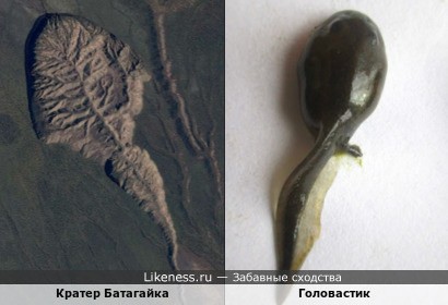 Бомба замедленного действия в Сибири: Почему Батагайка пугает климатологов больше, чем лесные пожары