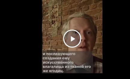Крик души Голандца