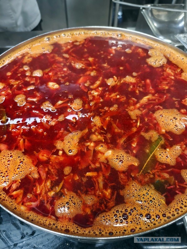 Трактат о борще без мяса и на воде