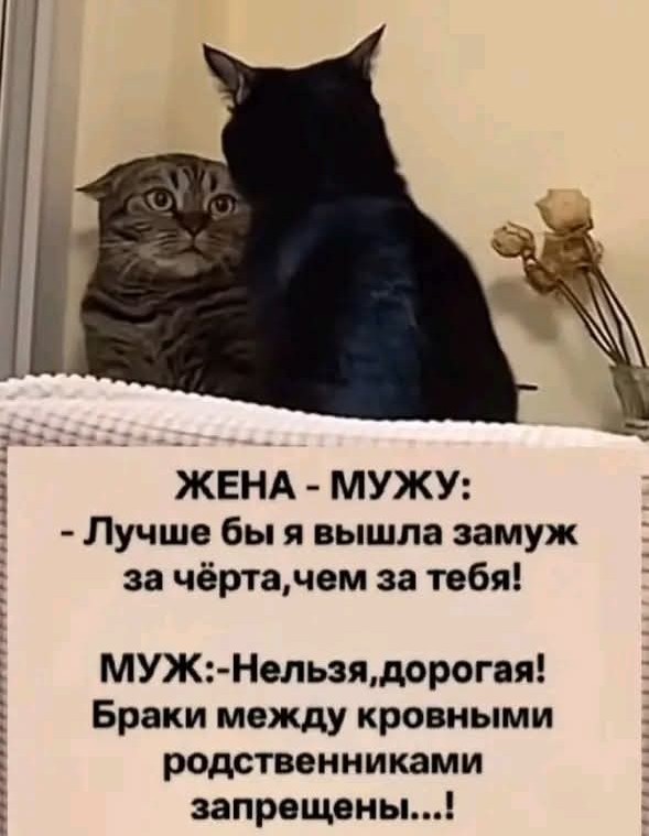 Картинки для деградации 253 (разной степени свежести)