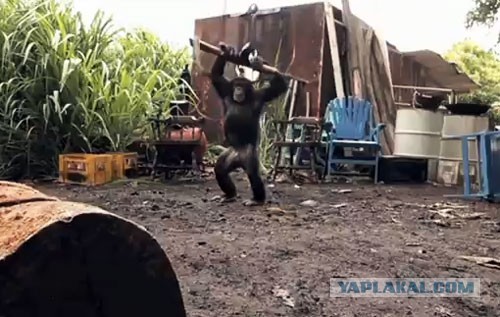 Ученик на уроке с пистолетом