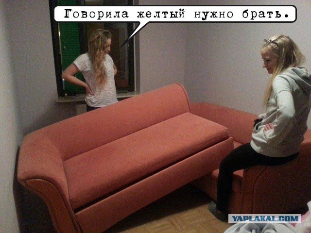 Девчонки купили новый диван....