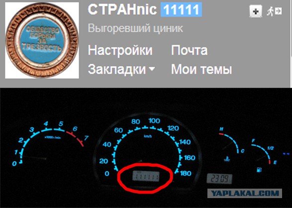 Женщины против существ мужского пола