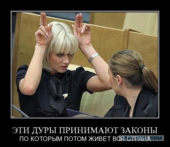 Цитата дня