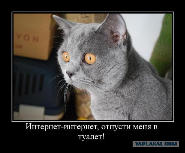 Просто поржать