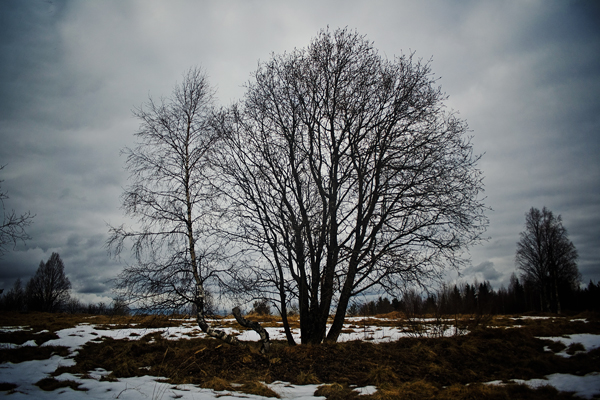 Скоро зима, товарищи !