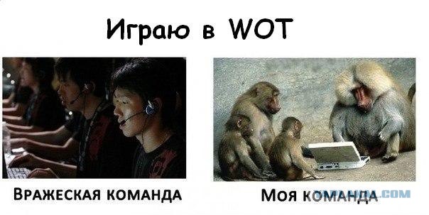 SP vs MP в играх