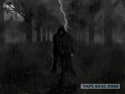 Черный волк