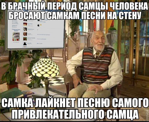 Комментарии из сетей